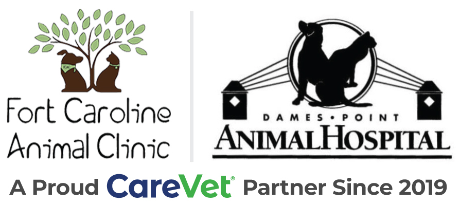 Dames Point Animal Hospital and Fort Caroline Animal Clinic Logo